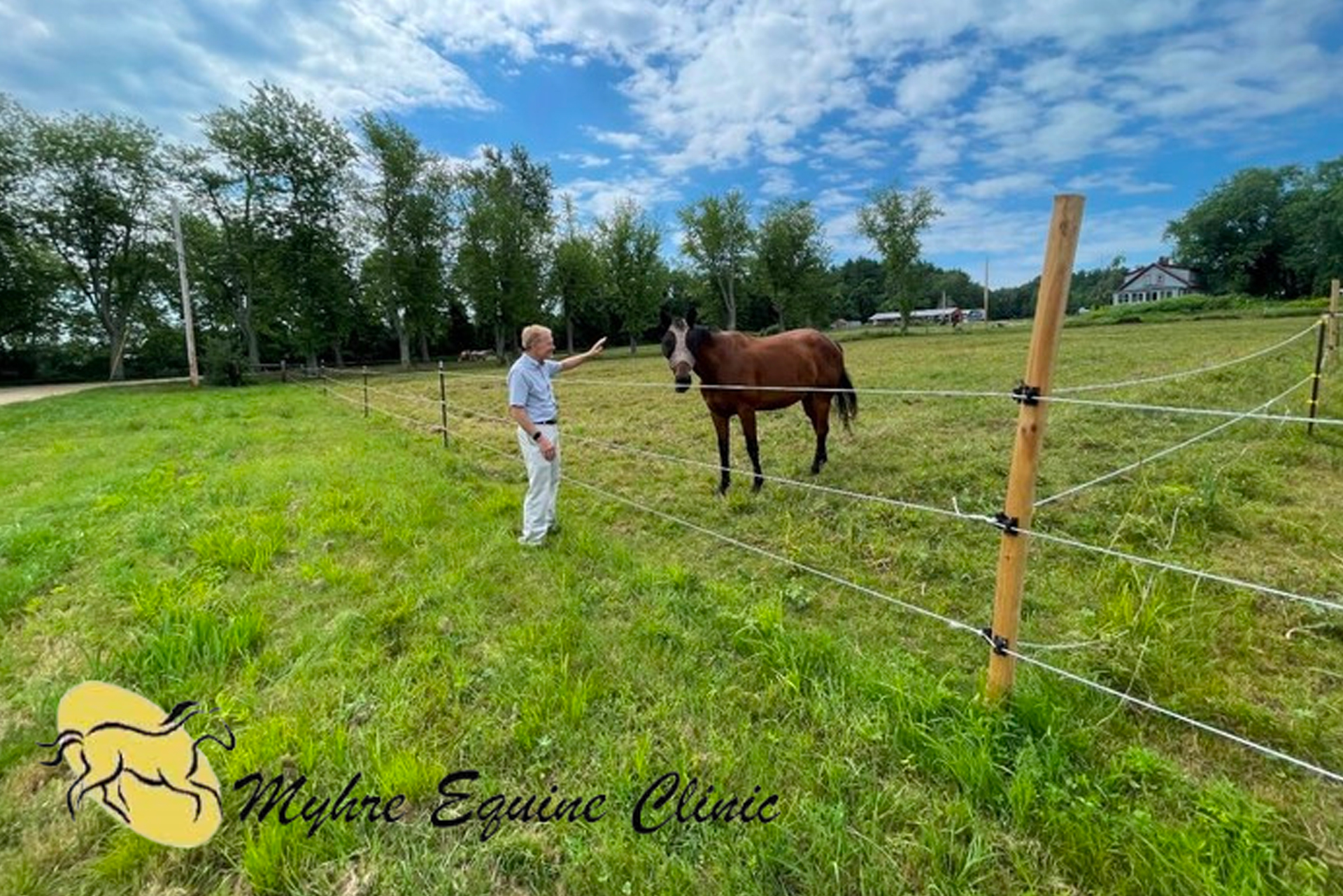 Grant Myhr Equine