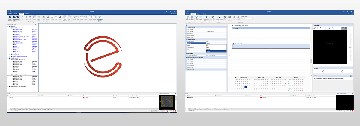 Small animals neuroimaging veterinary user interface  