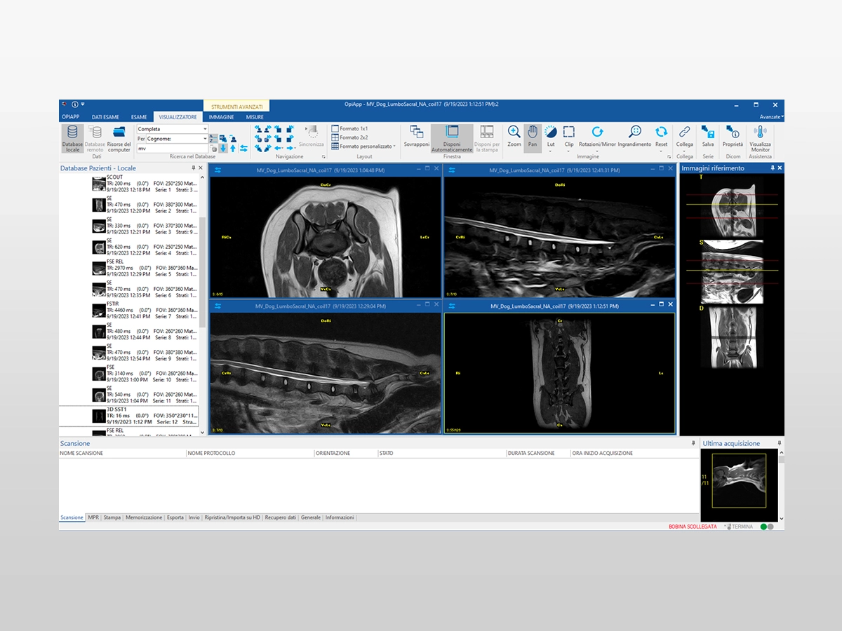 Magnifico Vet MRI system dedicated user interface