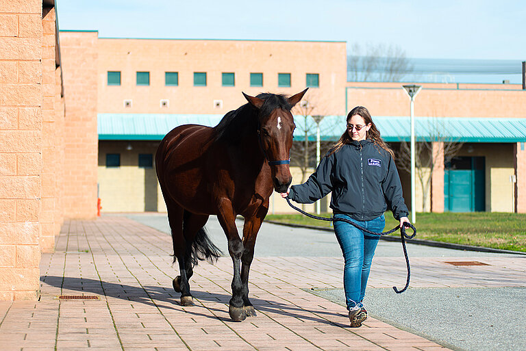 Equine Medicine Unit, University of Milan, University Veterinary Hospital of Lodi