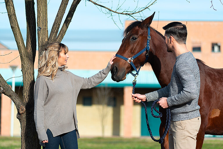 Equine Medicine Unit, University of Milan, University Veterinary Hospital of Lodi