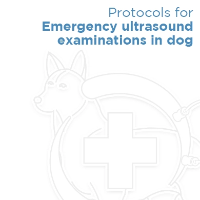 Protocols for emergency ultrasound examinations in dog