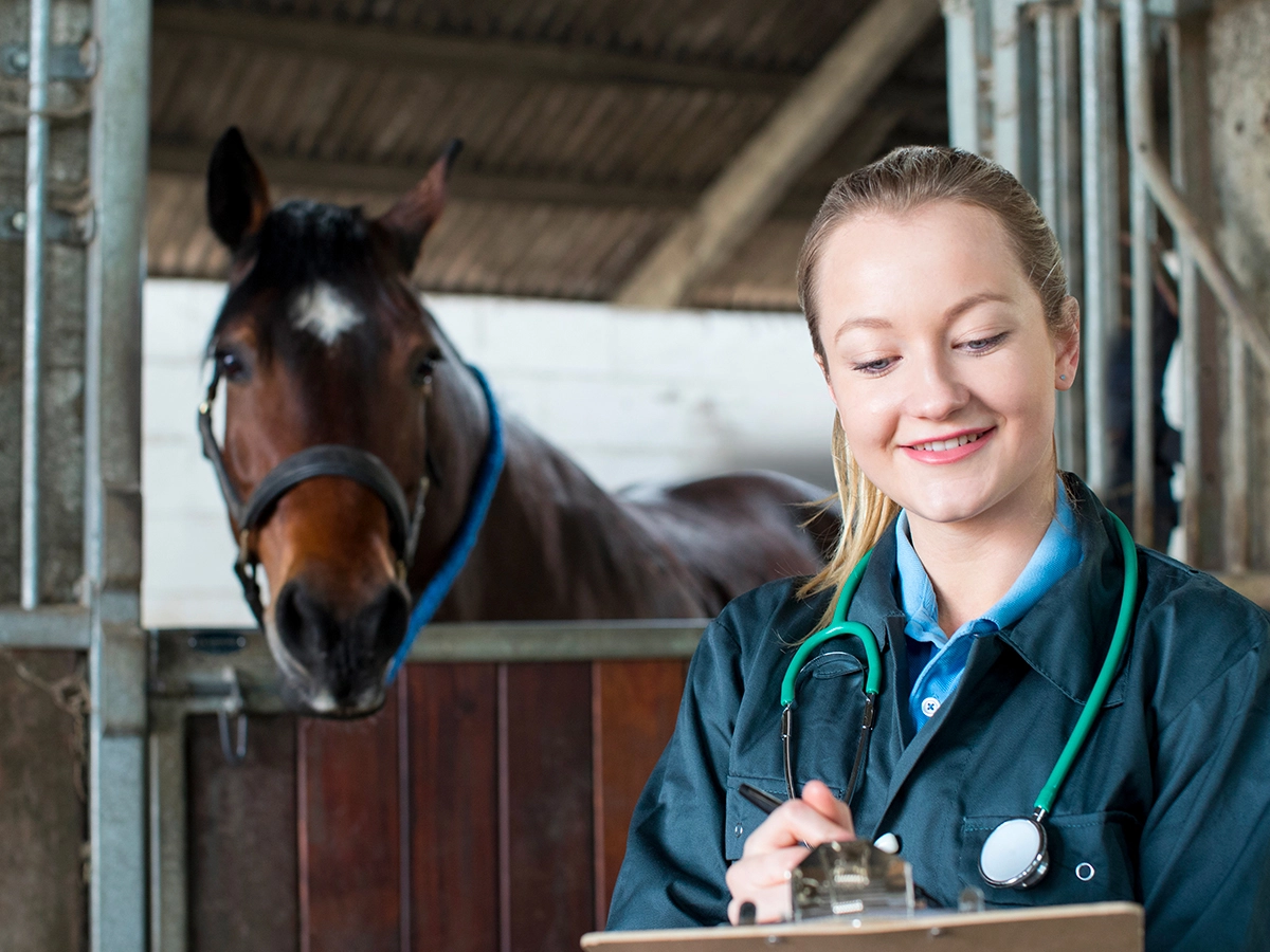 G-scan Equine MRI system meet the needs of veterinary clinics