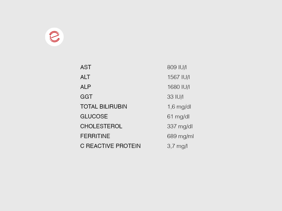 Result of the hematobiochemical examination