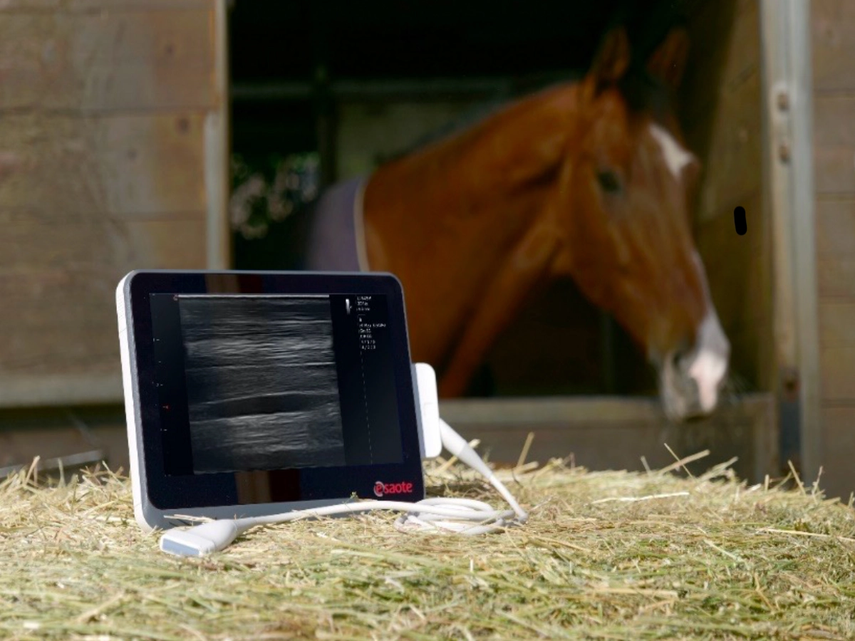 MyLab™X1VET is a full touchscreen device