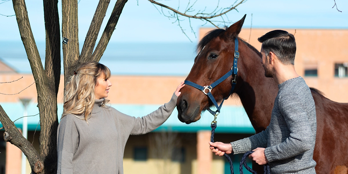 Equine Medicine Unit, University of Milan, University Veterinary Hospital of Lodi