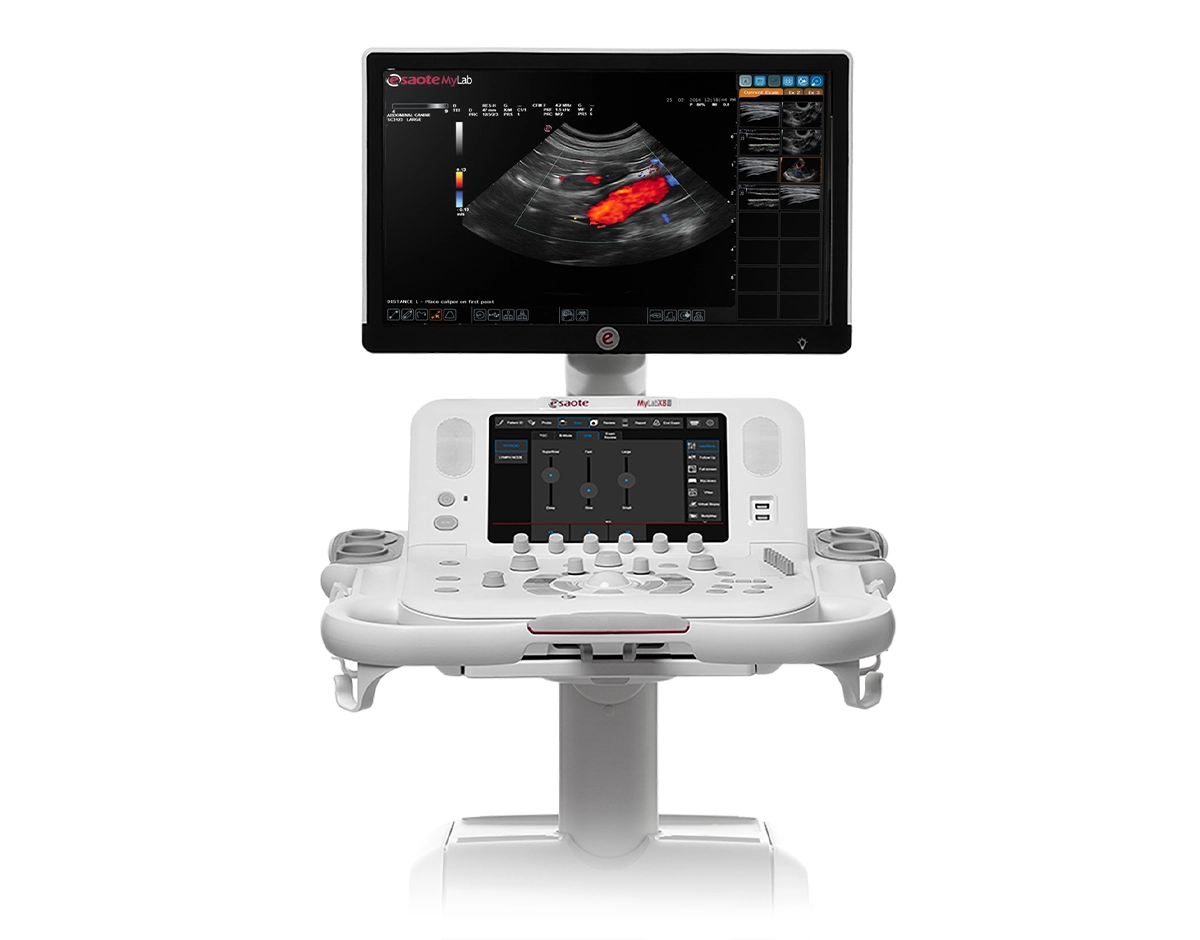 MyLab™X8VET ultrasound system, accelerate your workflow